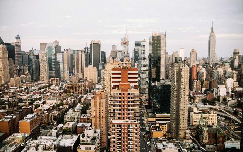 黄瓜科普知识分类