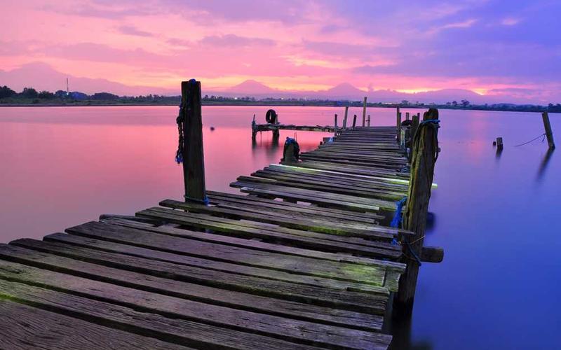 黄瓜文化故事分类